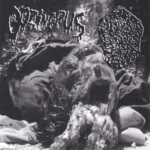 Inhalando Cerebro Seco De Perro : Oozing Pus - xIxCxSxPx